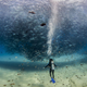 Illustration for article titled Spectacular photo of a scuba diver swimming under a massive fish tornado